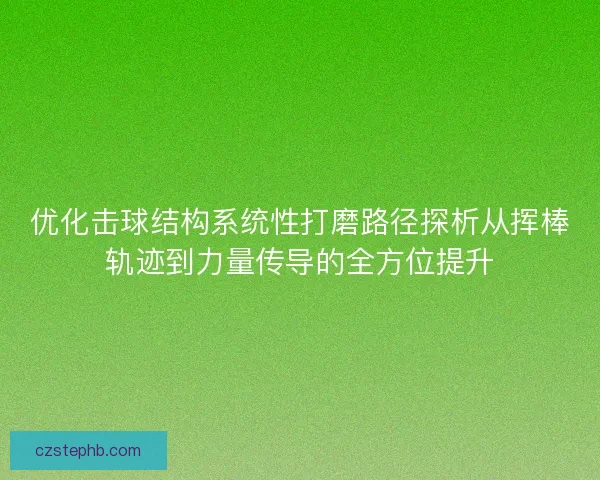 优化击球结构系统性打磨路径探析从挥棒轨迹到力量传导的全方位提升