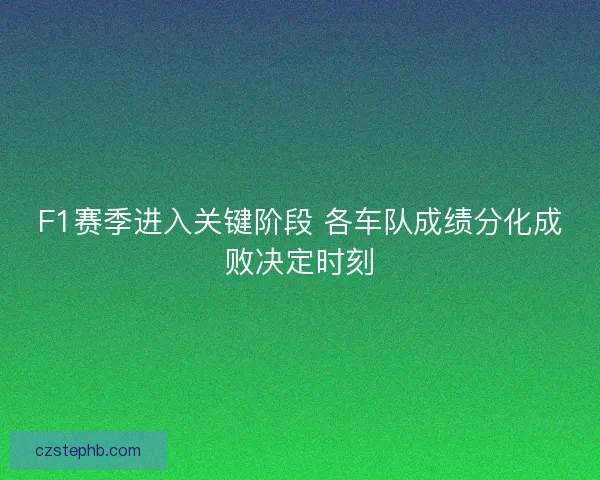 F1赛季进入关键阶段 各车队成绩分化成败决定时刻
